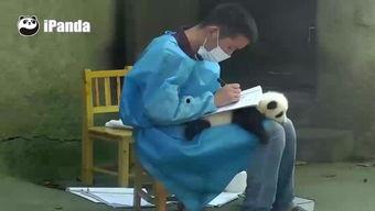 国产小受视频在线,青春校园的甜蜜演绎