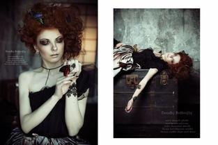 致命的蝴蝶国产电影在线播放