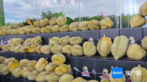 国产精品榴莲在线观看,尽享热带风情美食盛宴