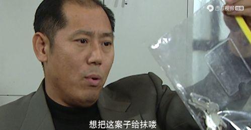 国产又粗又大的 在线观看,粗犷雄浑，在线盛宴