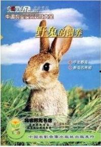 最新国产中文野兔视频在线,探寻自然之美，感受野性魅力